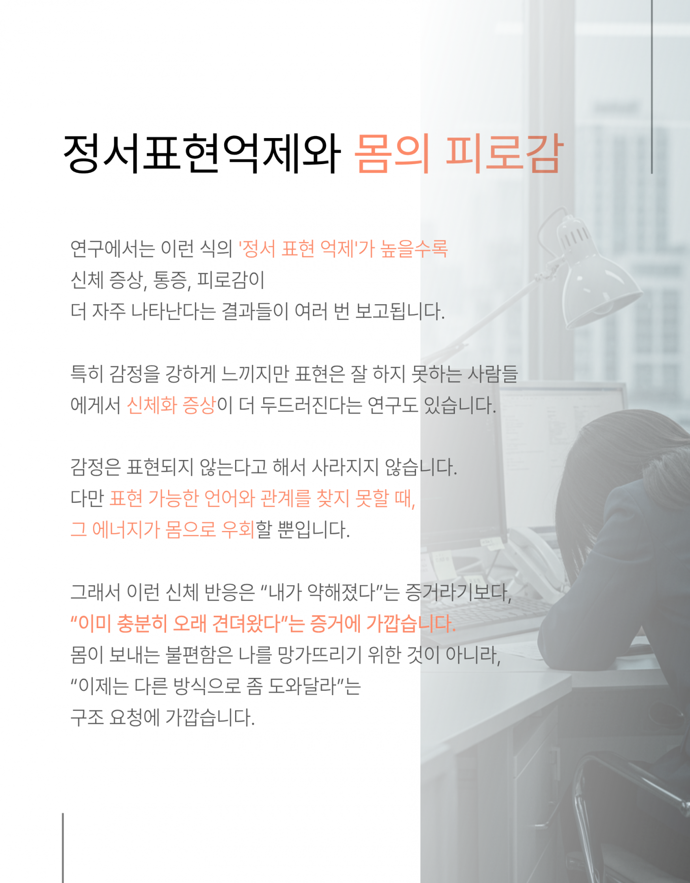 b53ff729ccefb7b20b477b690b55d5fe_1770371698_6813.png
